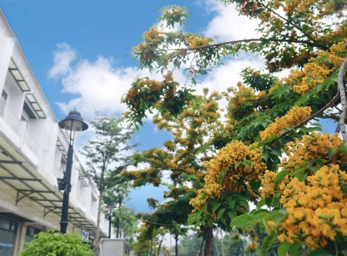 Màu Ecogarden, màu yêu thương và chữa lành